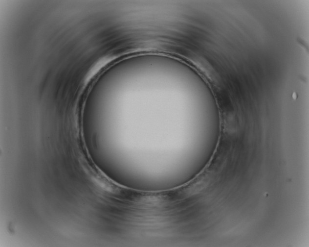 X0000097851078200803141212