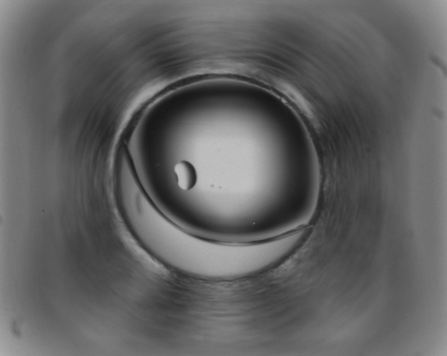 X0000097851080200803141212