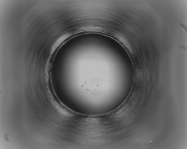 X0000097851082200803141212