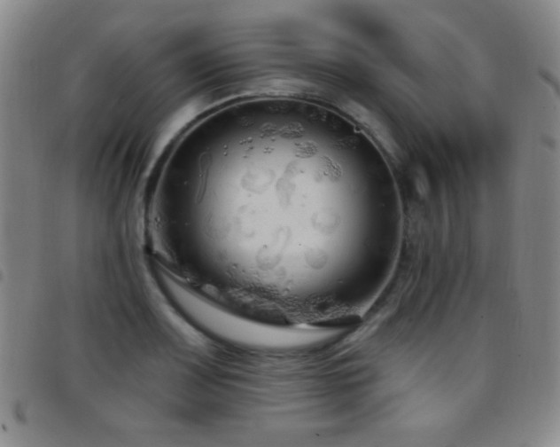 X0000097851083200803141212