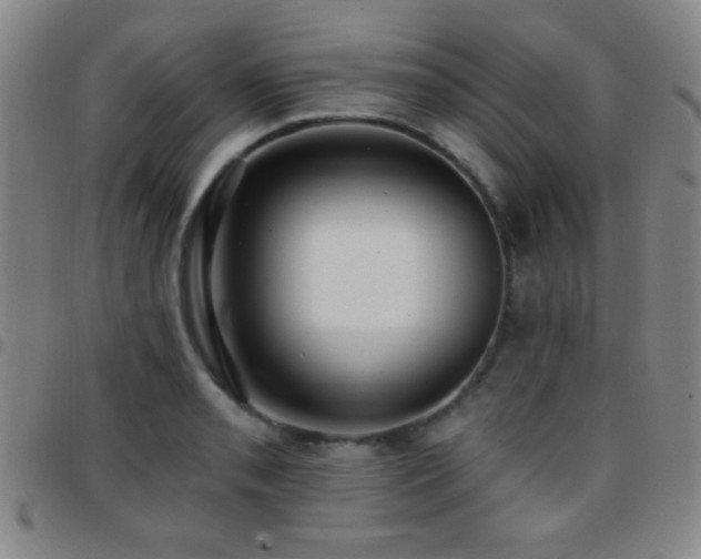 X0000097851085200803141212