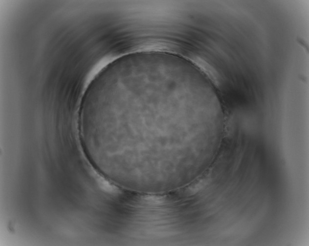 X0000097851086200803141212
