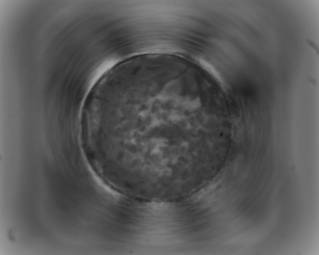 X0000097851087200803141212