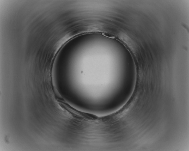 X0000097851089200803141212