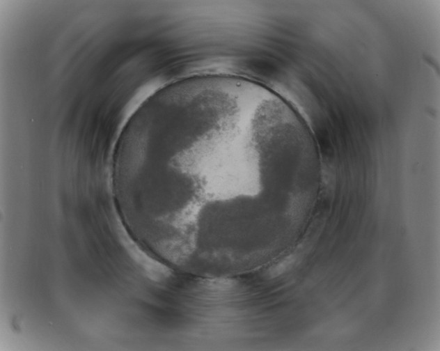 X0000097851090200803141212