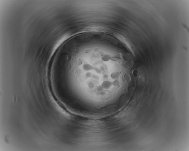 X0000097851091200803141212