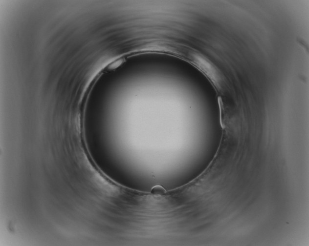 X0000097851092200803141212