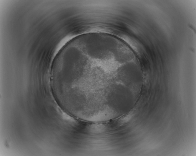 X0000097851094200803141212
