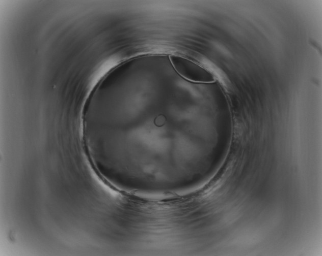 X0000097851095200803141212