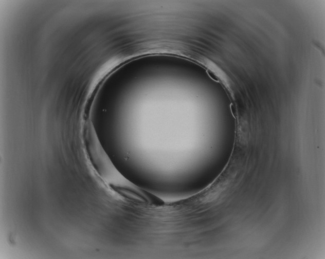 X0000097851096200803141212