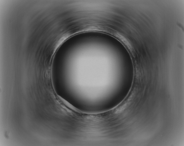 X0000097851097200803141212