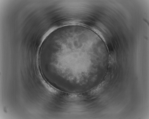 X0000097851098200803141212