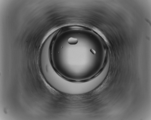 X0000097851101200803141212