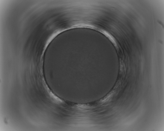 X0000097851102200803141212