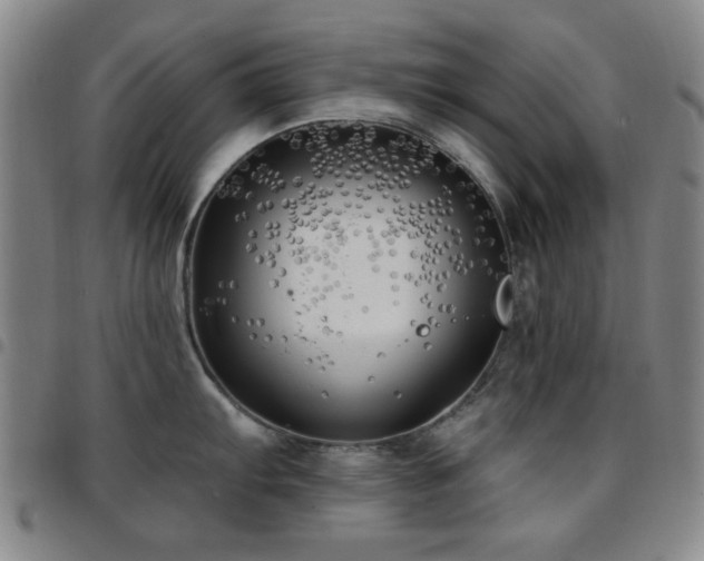 X0000097851103200803141212