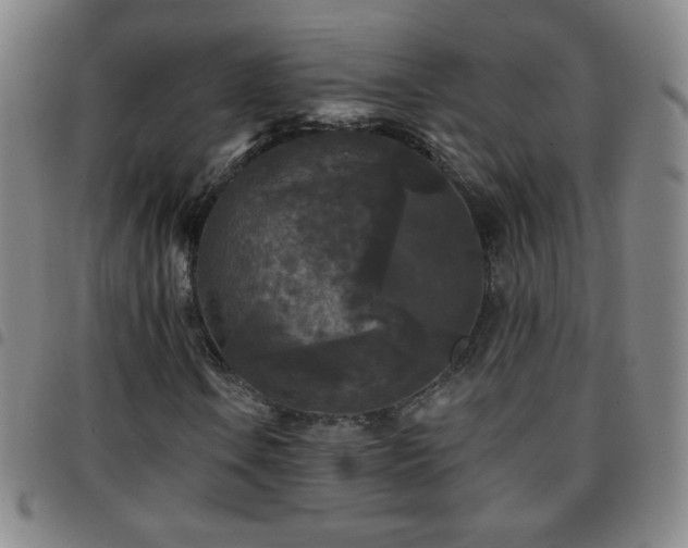 X0000097851106200803141211