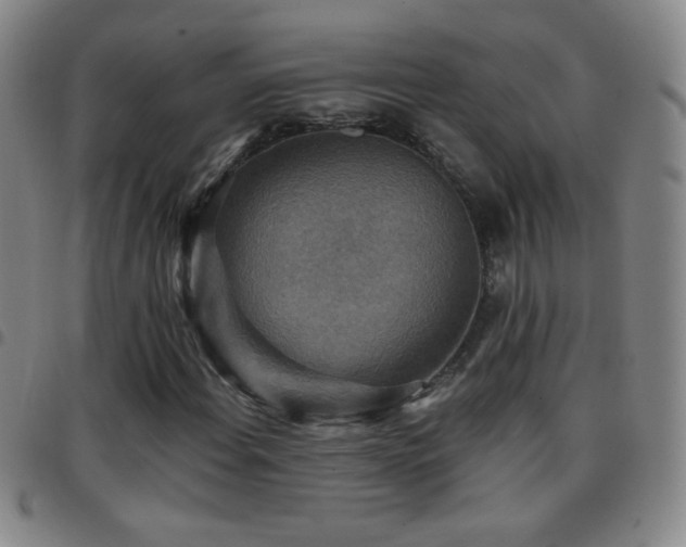 X0000097851108200803141211