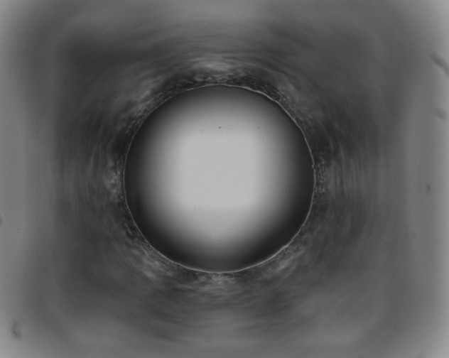 X0000097851109200803141211
