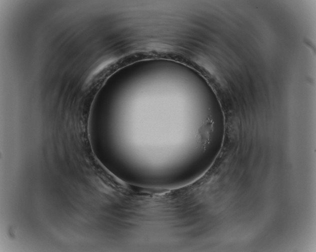 X0000097851112200803141211