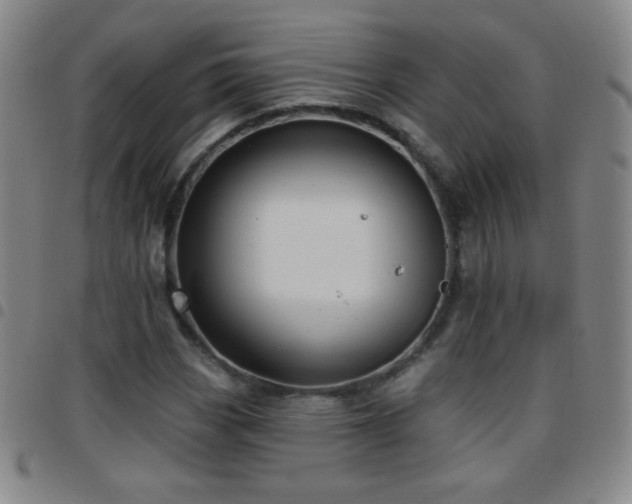 X0000097851113200803141211