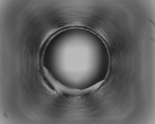 X0000097851116200803141211