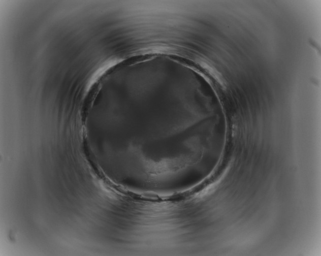 X0000097851117200803141211