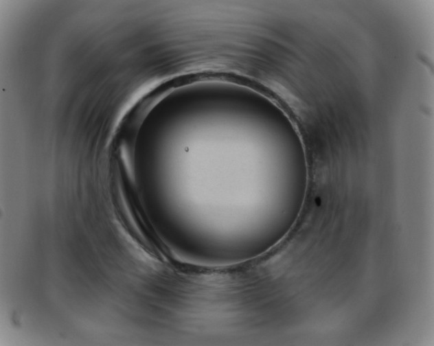 X0000097851118200803141211