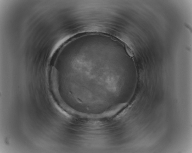 X0000097851120200803141211