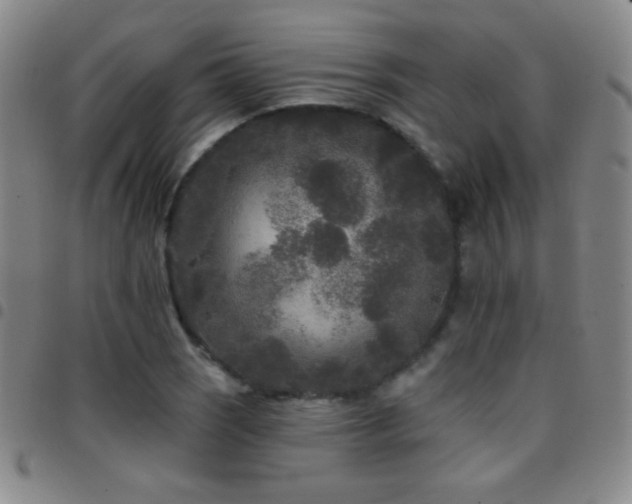 X0000097851121200803141211