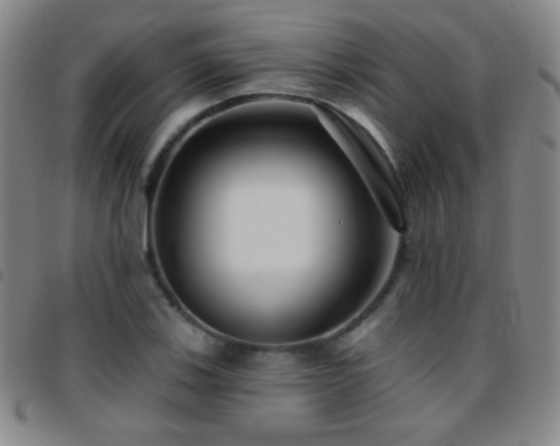 X0000097851123200803141211