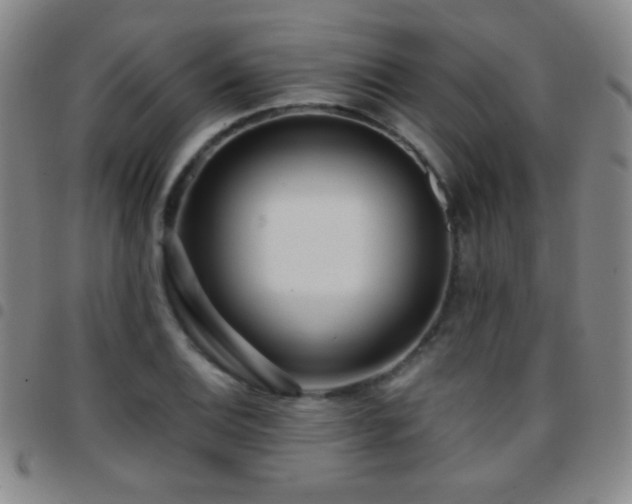 X0000097851124200803141211