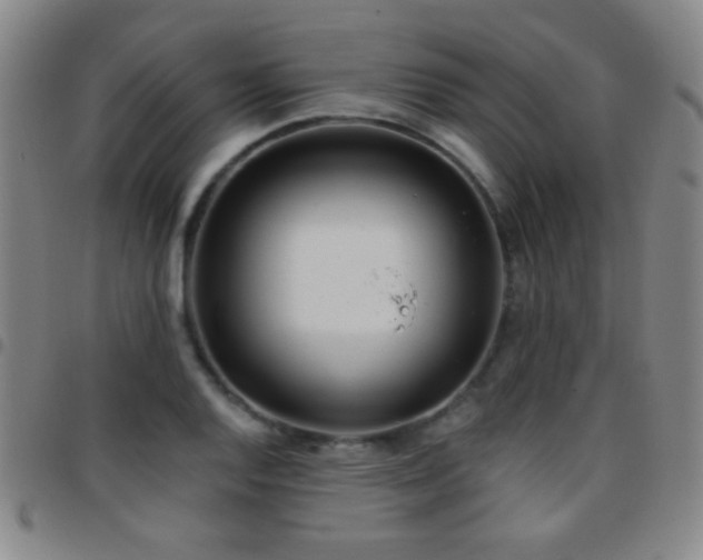 X0000097851128200803141211