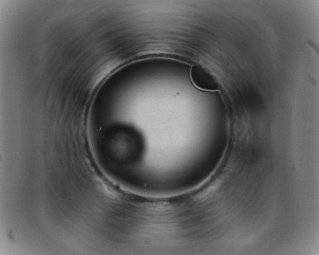 X0000097851129200803141211