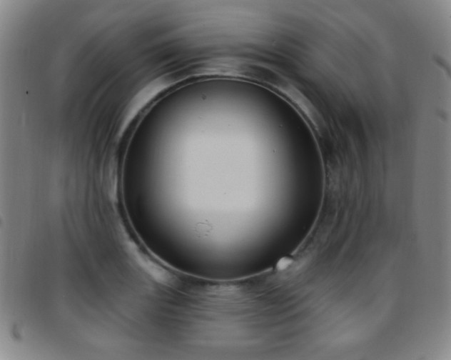 X0000097851131200803141211