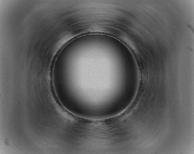 X0000097851133200803141211