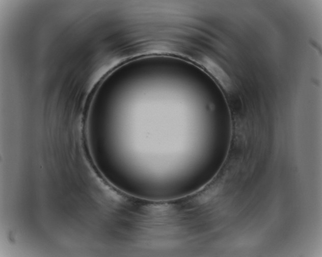 X0000097851134200803141211