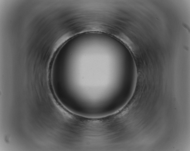 X0000097851135200803141211