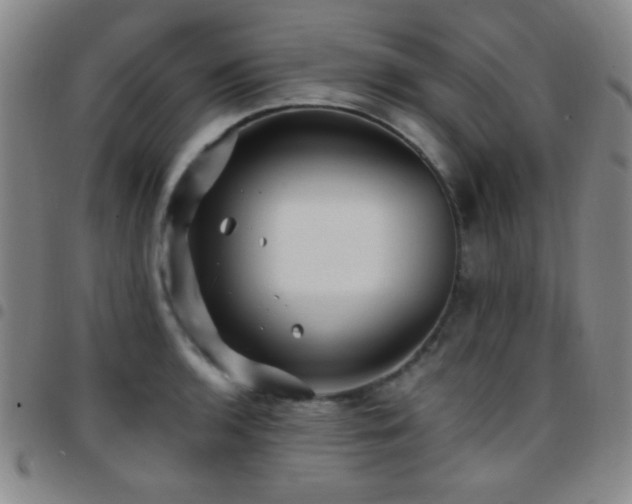 X0000097851136200803141211