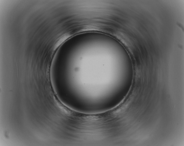 X0000097851137200803141211