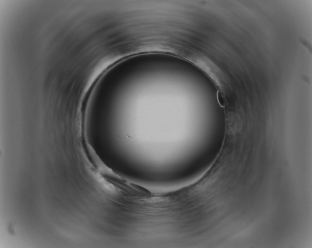 X0000097851140200803141212