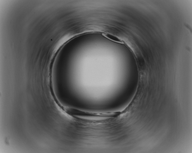X0000097851143200803141212