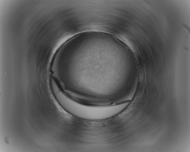 X0000097851144200803141212