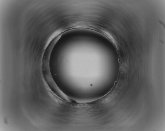 X0000097851146200803141212
