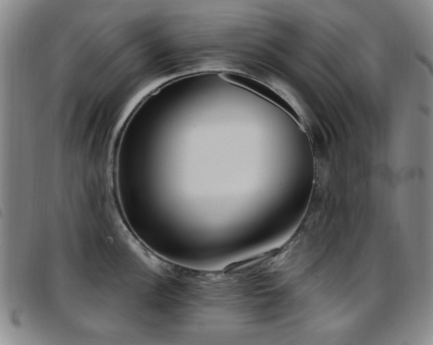 X0000097851148200803141212