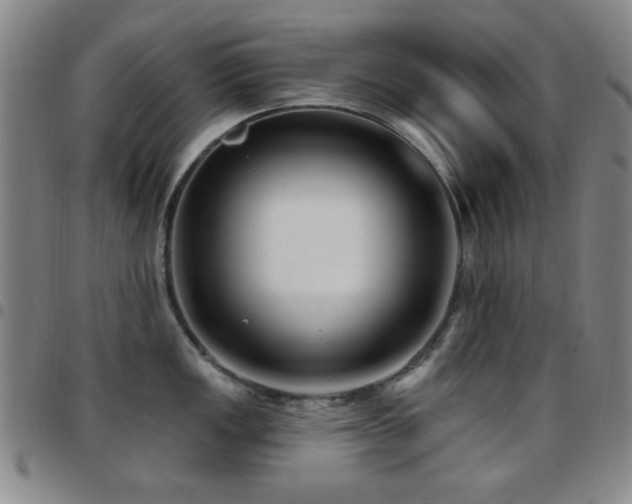X0000097851149200803141212
