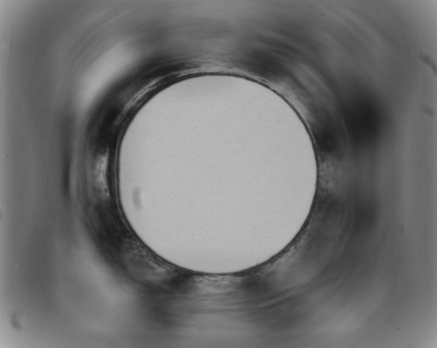 X0000097851150200803141212