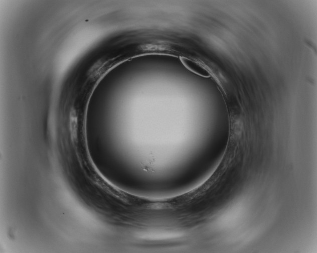 X0000097851151200803141212