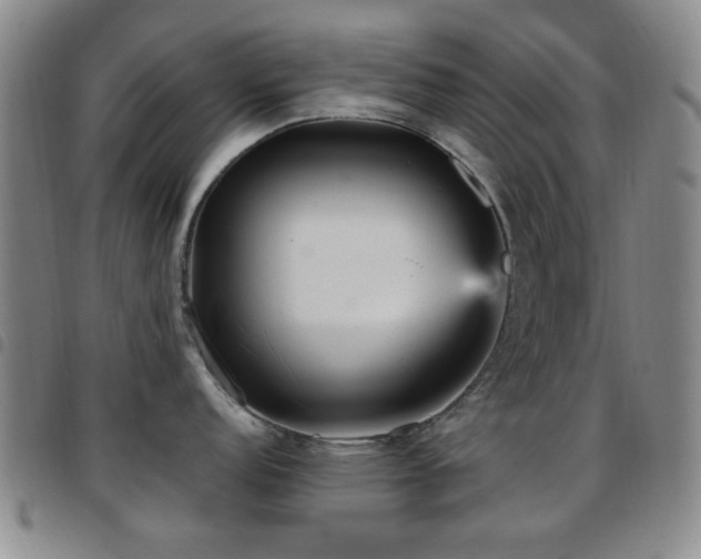 X0000097851152200803141212