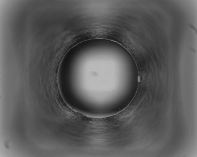 X0000097851153200803141211