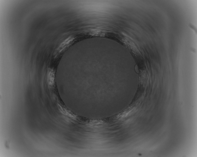 X0000097851154200803141211